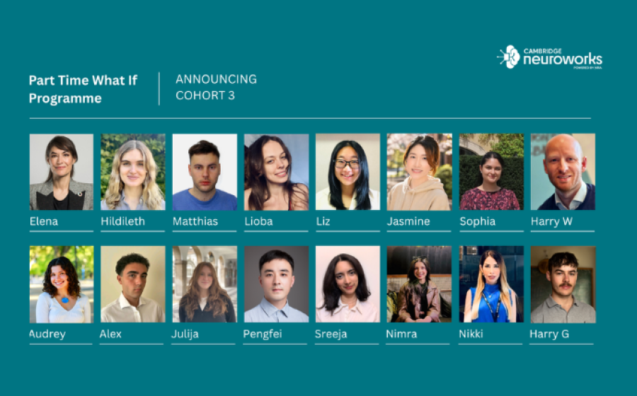 Introducing Cohort 3 of the Part Time What If Programme